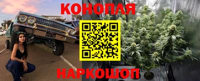 mdpv Уссурийск