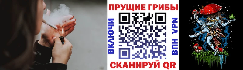 где найти наркотики  Баксан  это клад  Галлюциногенные грибы GOLDEN TEACHER  кракен tor 