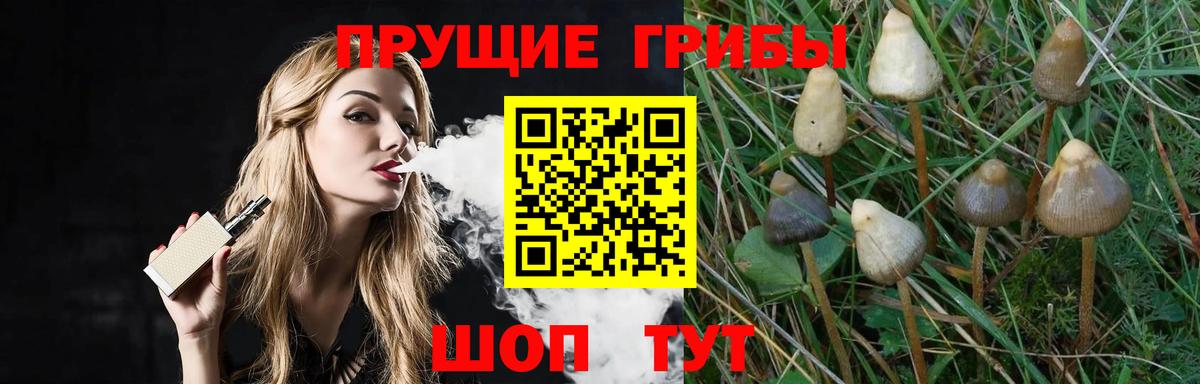 Баксан  Галлюциногенные грибы мицелий  Вход с VPN 